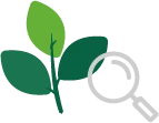 Diagnóstico de salud foliar y estrés